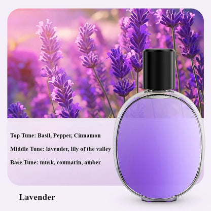 مرطب هواء للعلاج العطري (أروماثيرابي)، موزع روائح عطري (مرذذ/مبخر دقيق)، مرطب منزلي يعمل بـشاحن، جهاز ترطيب مكتبي.