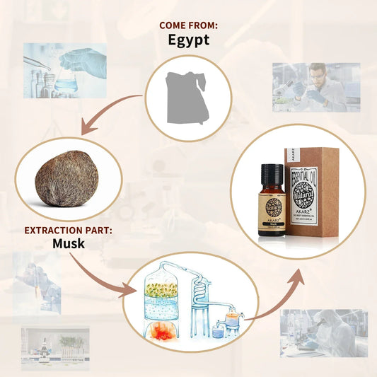 زيت المسك العطري الطبيعي من عكارز، للعلاج بالروائح، يهدئ الأعصاب ويزن المزاج، للعناية بالجسم والوجه.